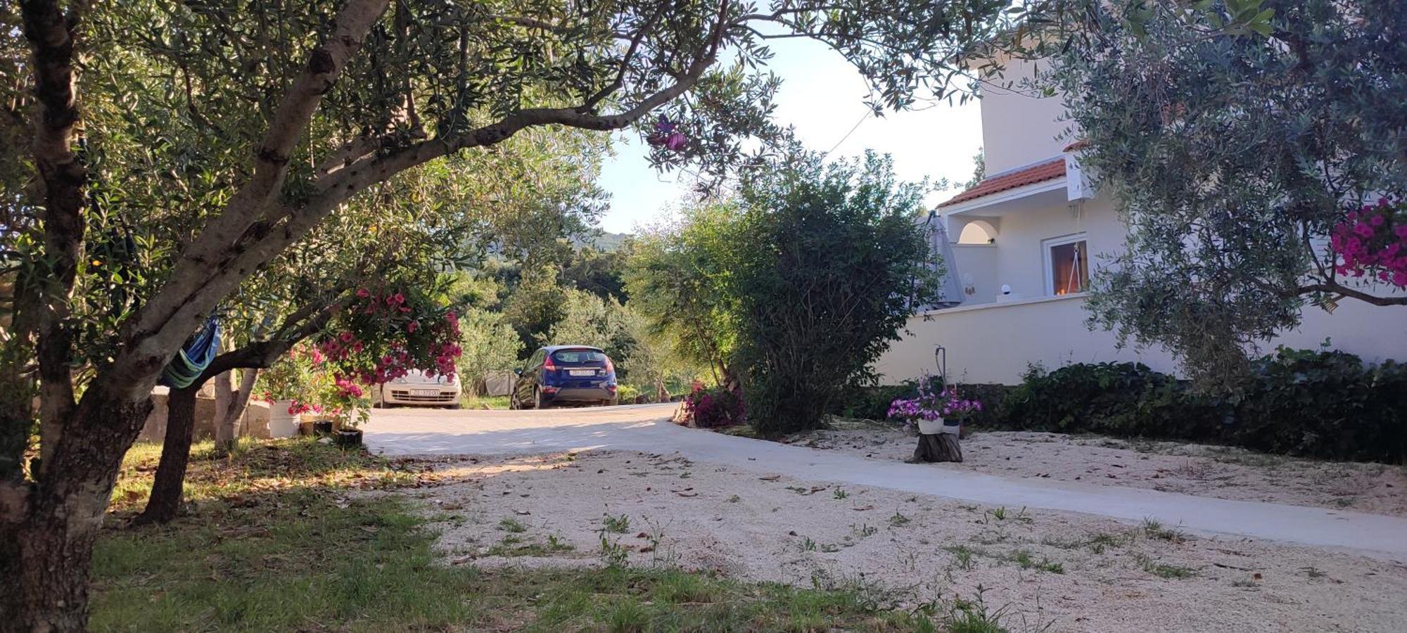 Apartments Villa Mihaela Banj Zewnętrze zdjęcie