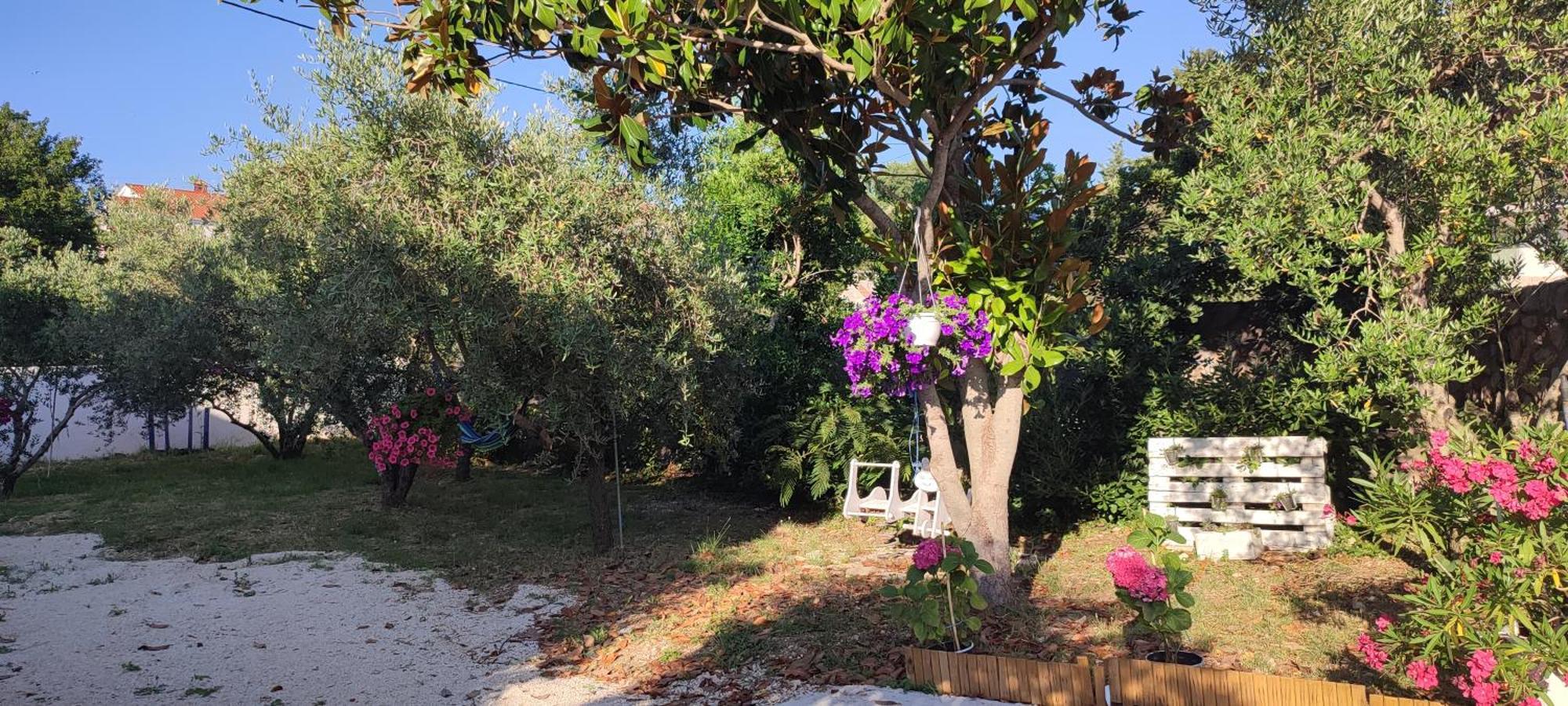 Apartments Villa Mihaela Banj Zewnętrze zdjęcie